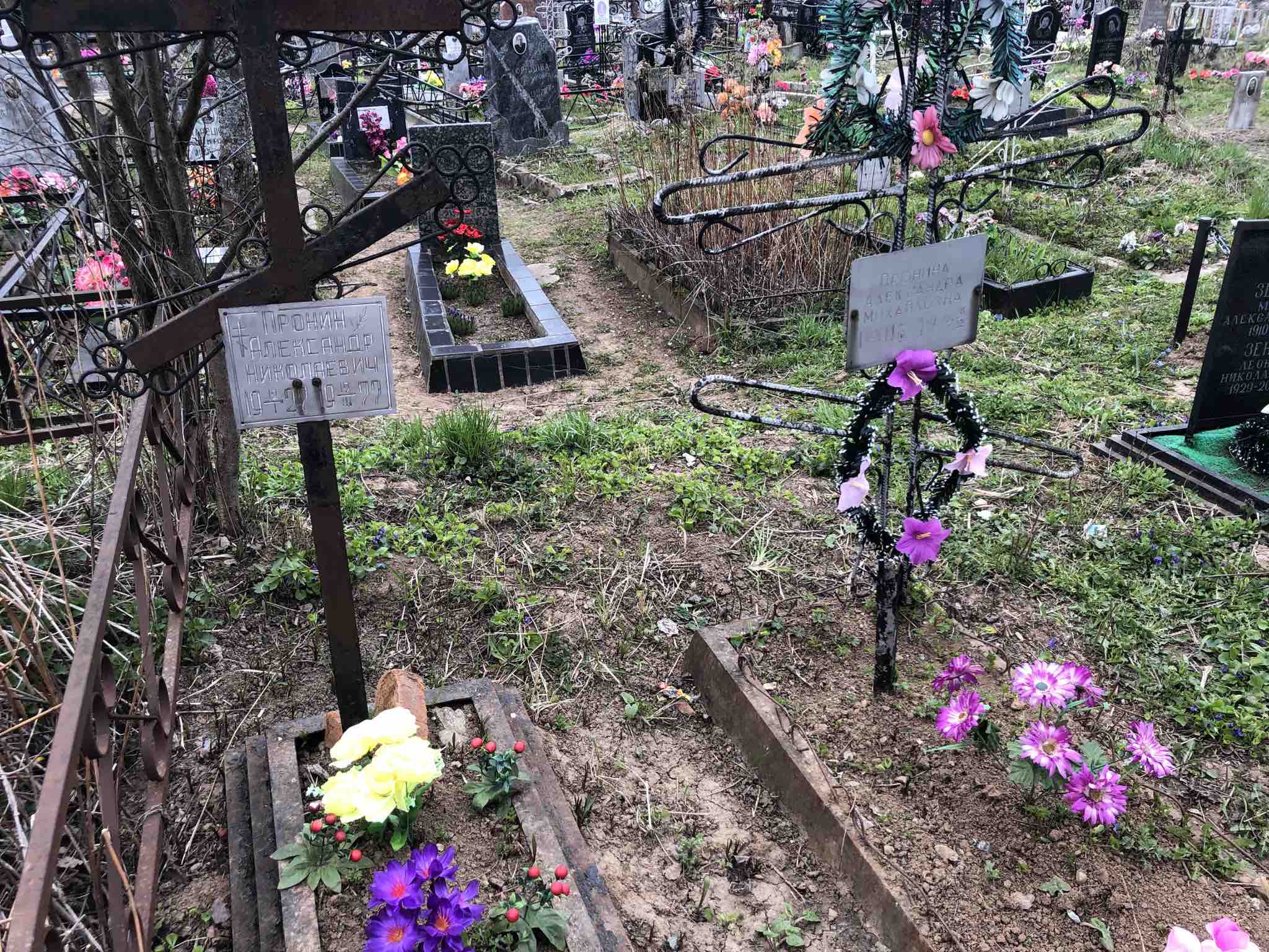 Пронина Александра Михайловна