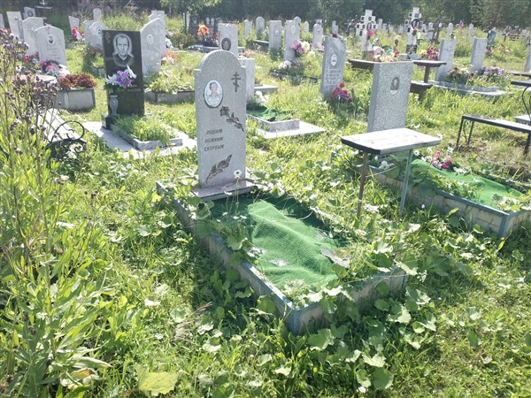 Фролова Анна Николаевна