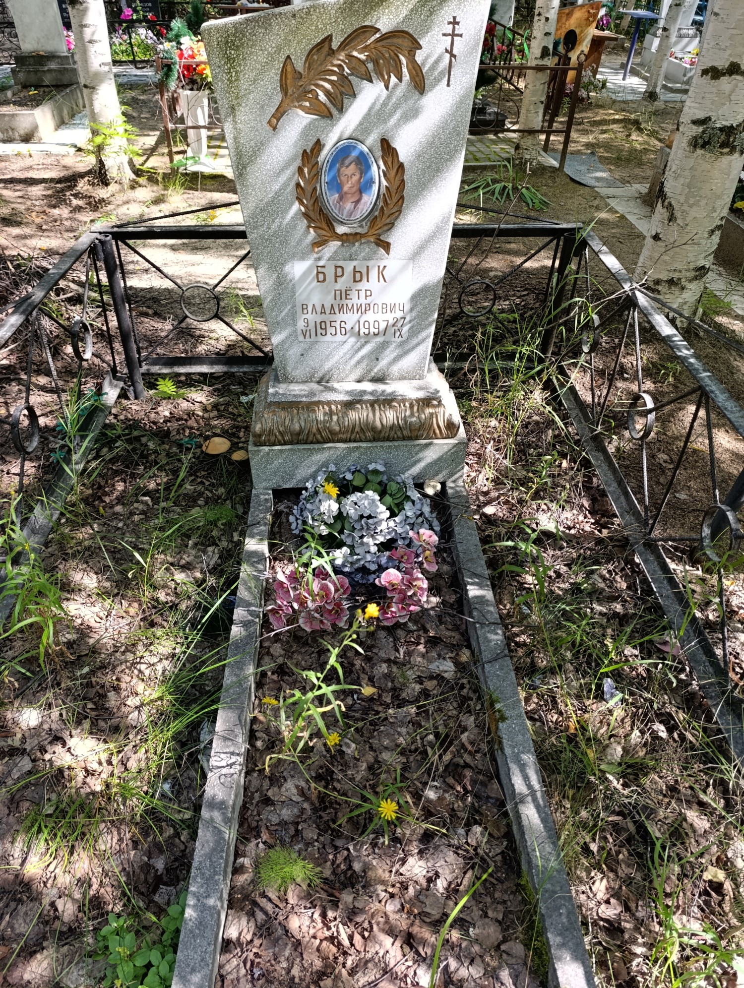 Брык Петр Владимирович