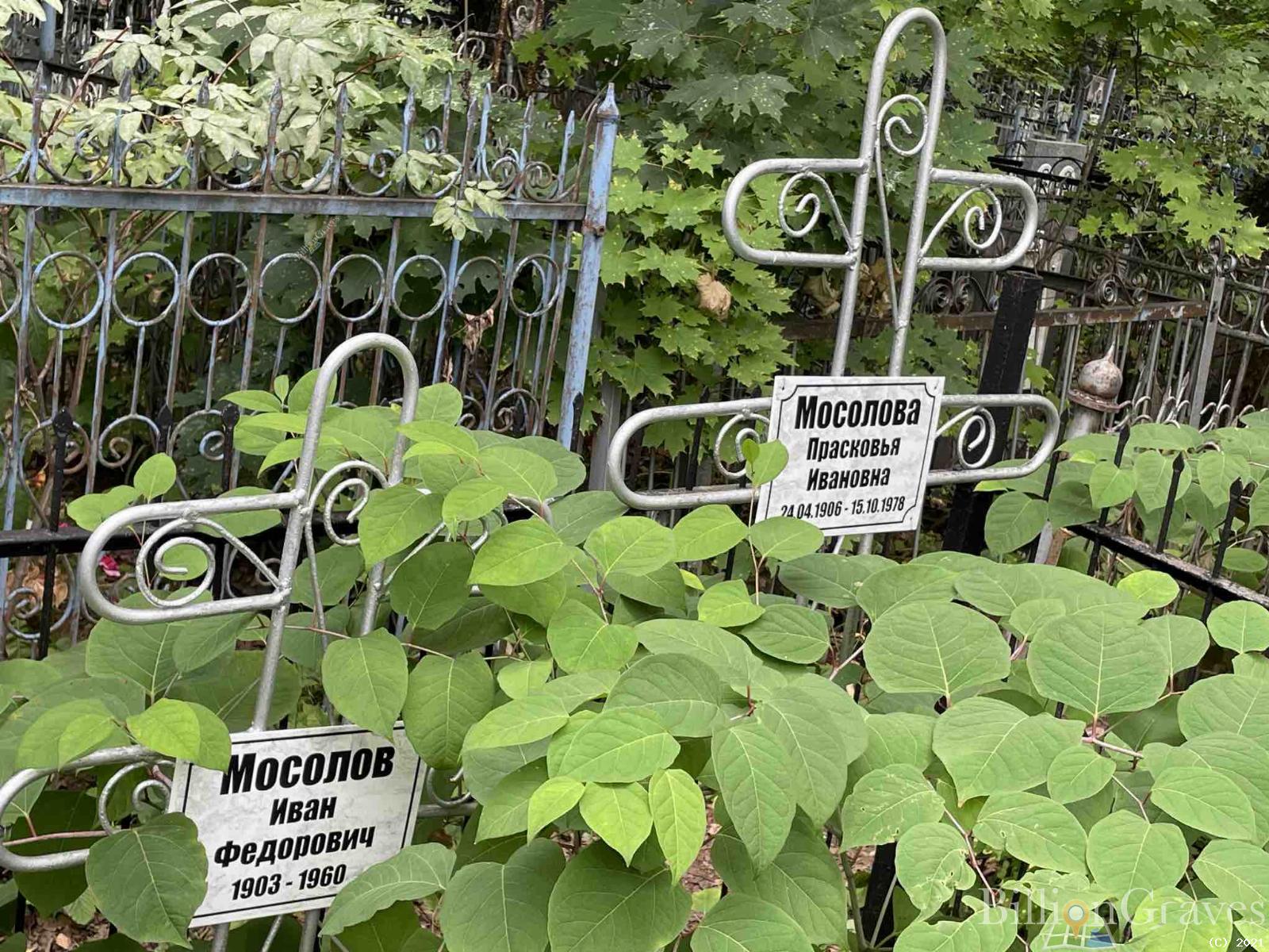 Мосолова Прасковья Ивановна