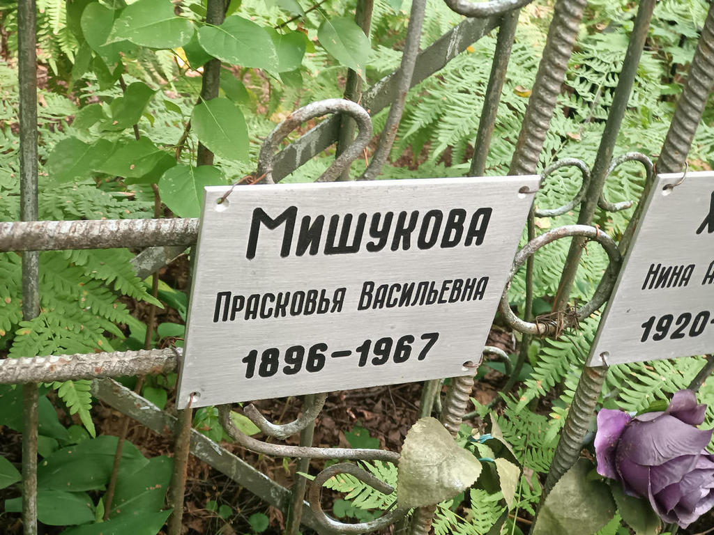 Мишукова Прасковья Васильевна