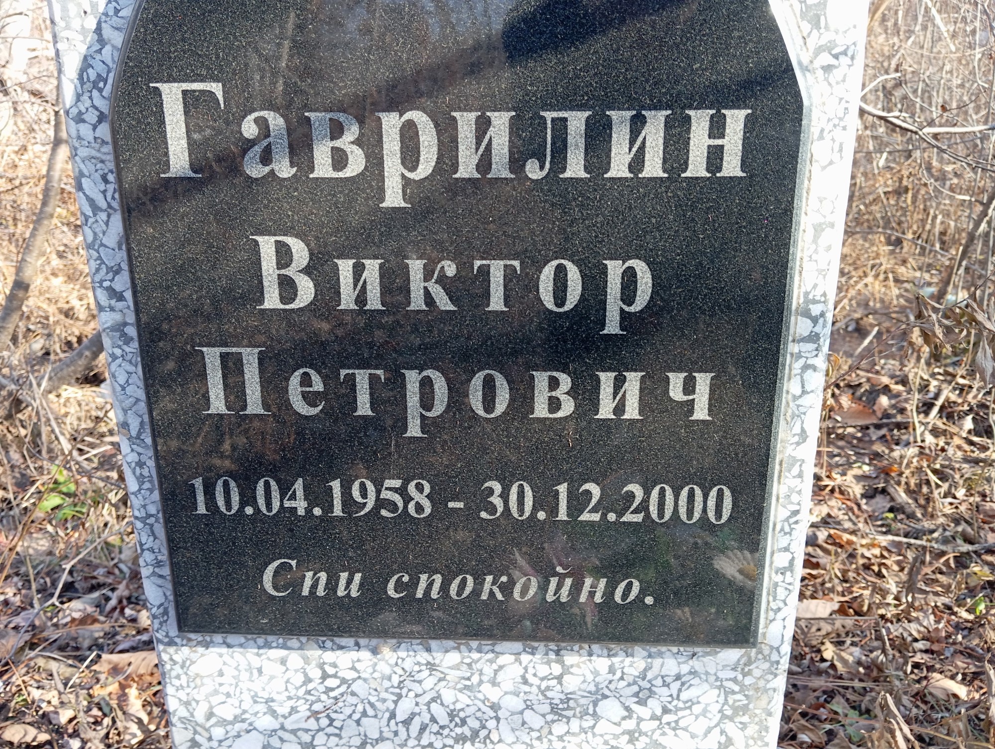 Гаврилин Виктор Петрович
