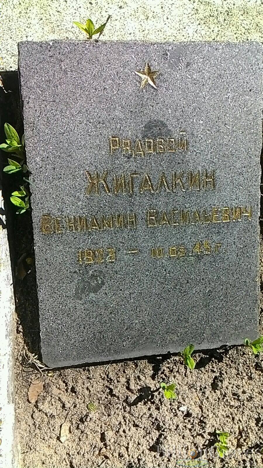 Жигалкин Вениамин Васильевич