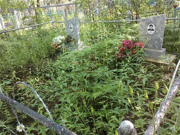 Романова Сакина Зинатовна