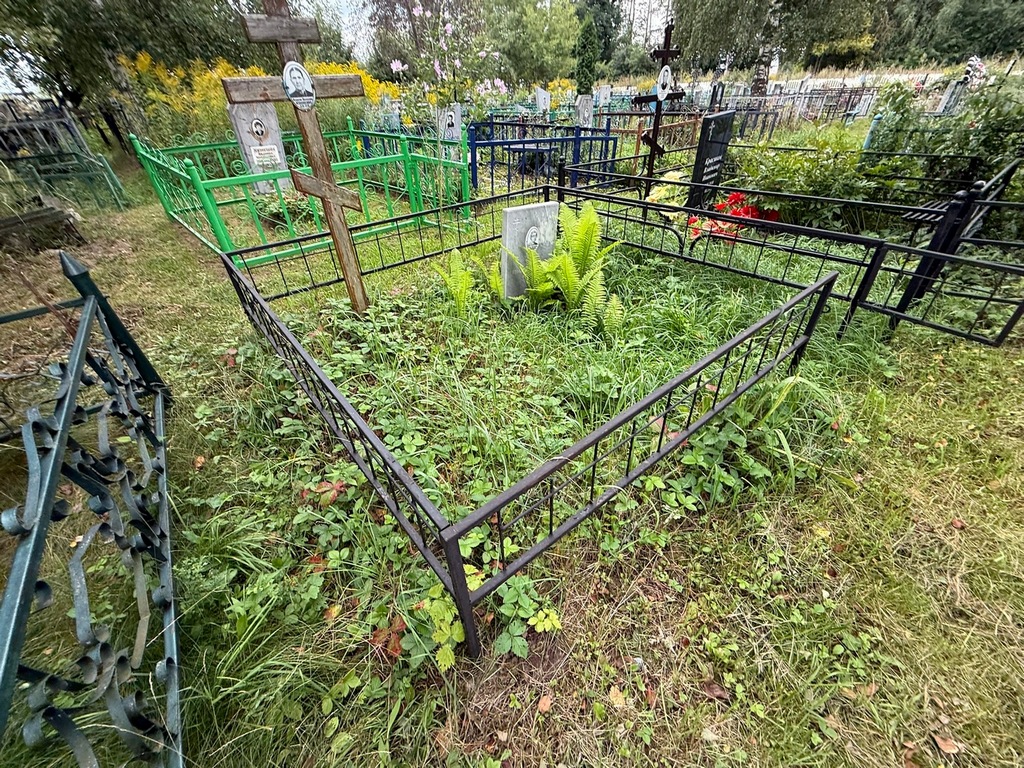 Илюшкина Феодосия Николаевна