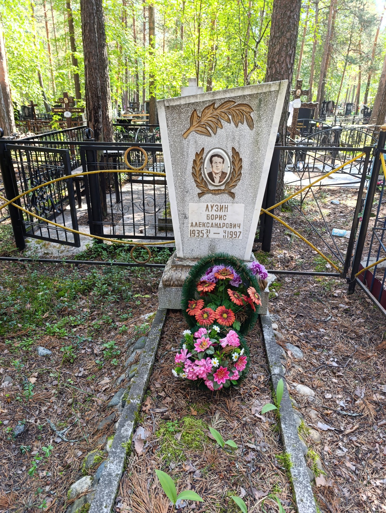 Лузин Борис Александрович