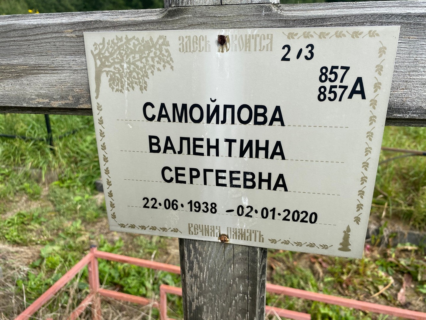Самойлова