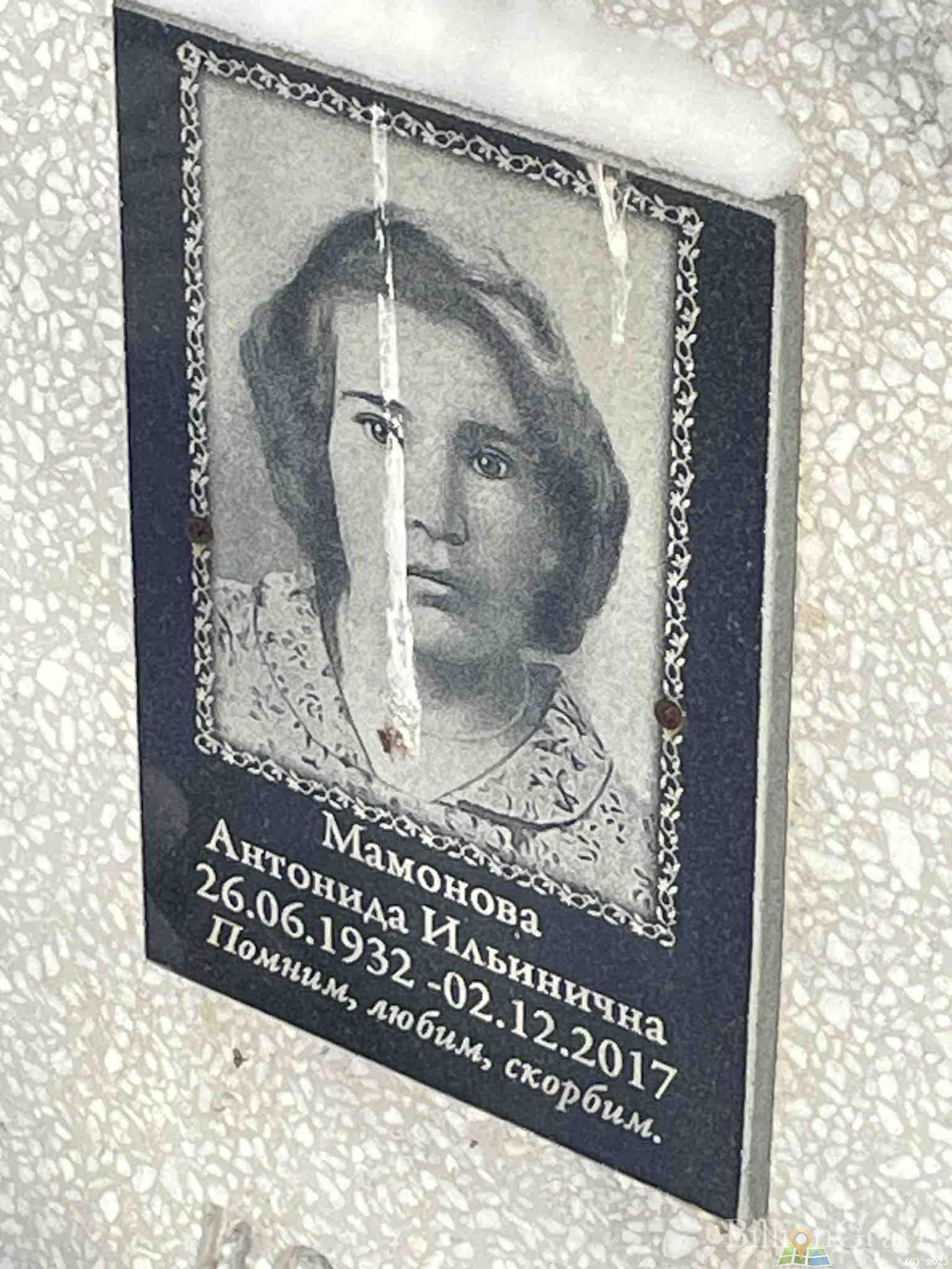 Мамонова Антонида Ильинична