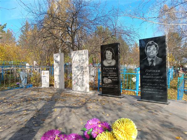 Гордеев Александр Васильевич
