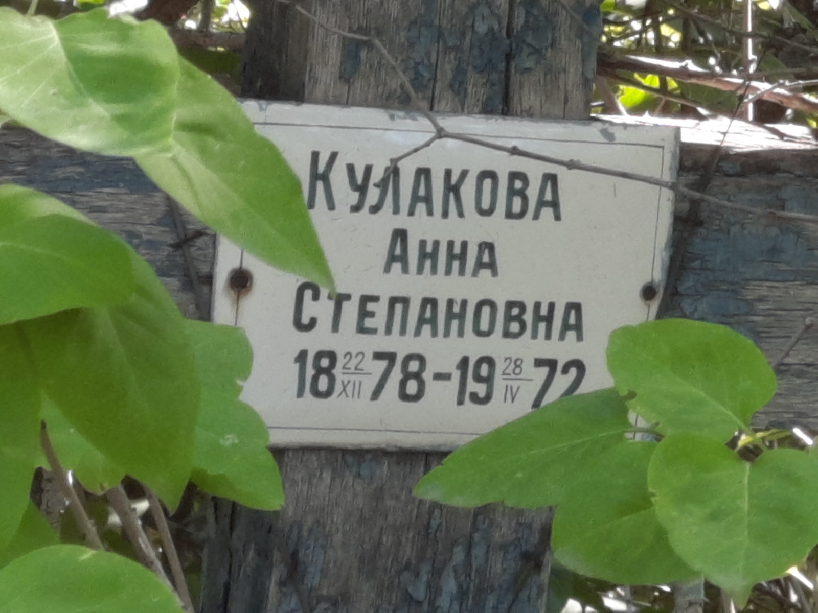 Кулакова Анна Степановна