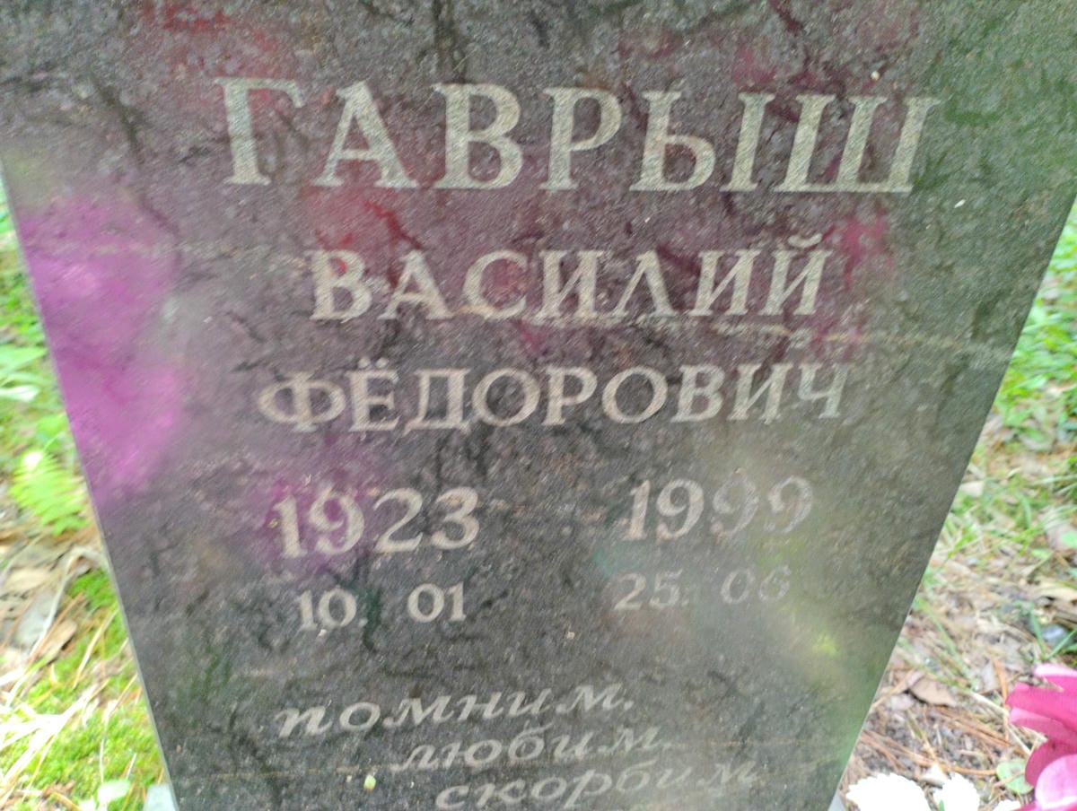 Гаврыш Василий Федорович