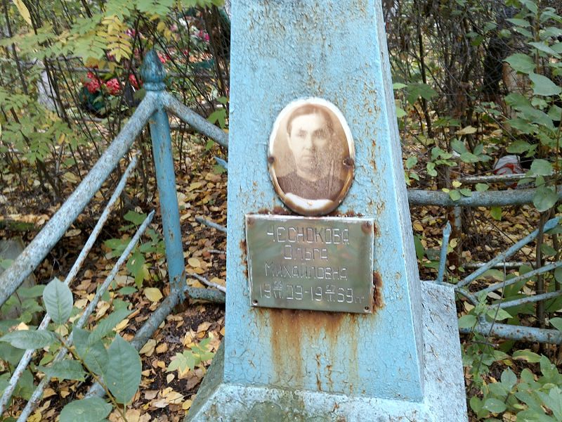 Чеснокова