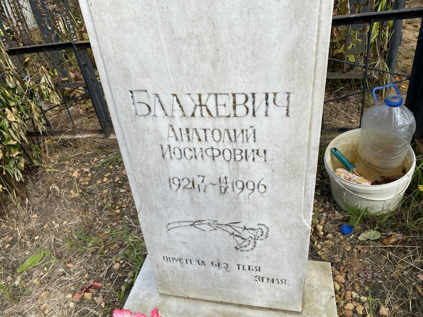 Блажевич