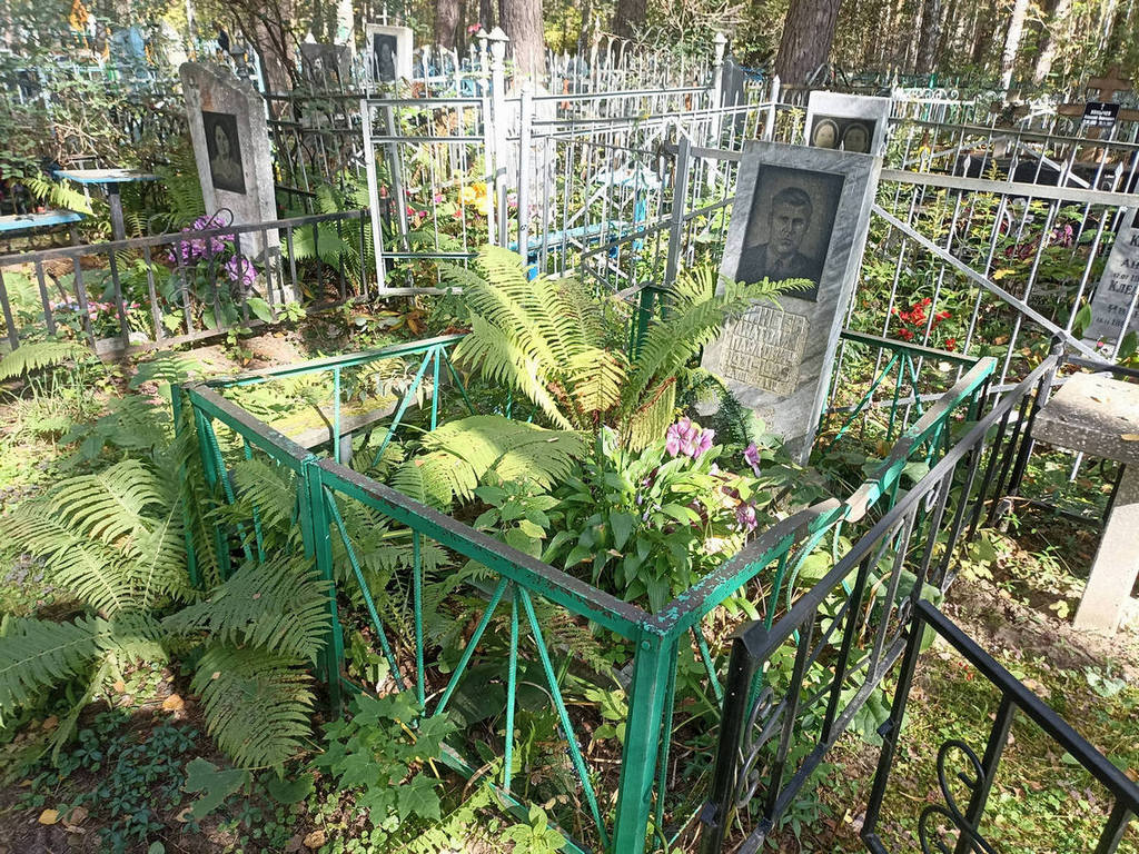 Минеев Анатолий Павлович