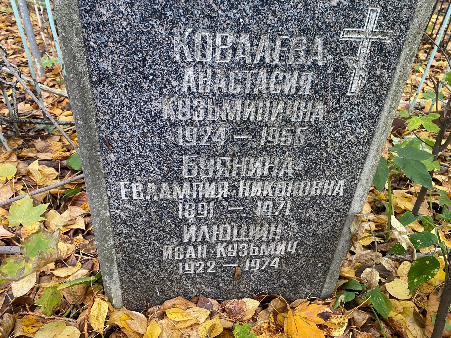 Ковалева Анастасия Кузьминична