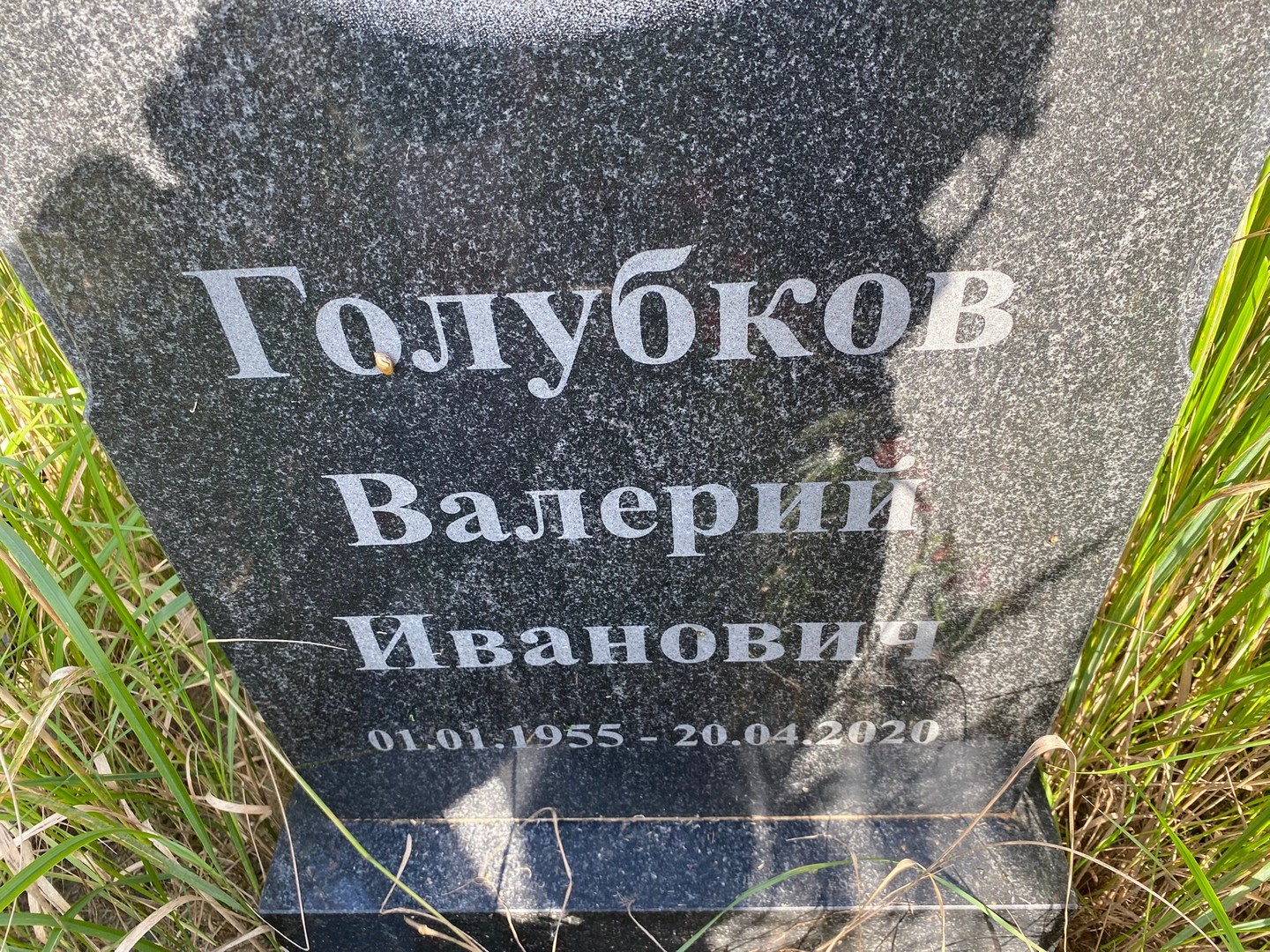 Голубков
