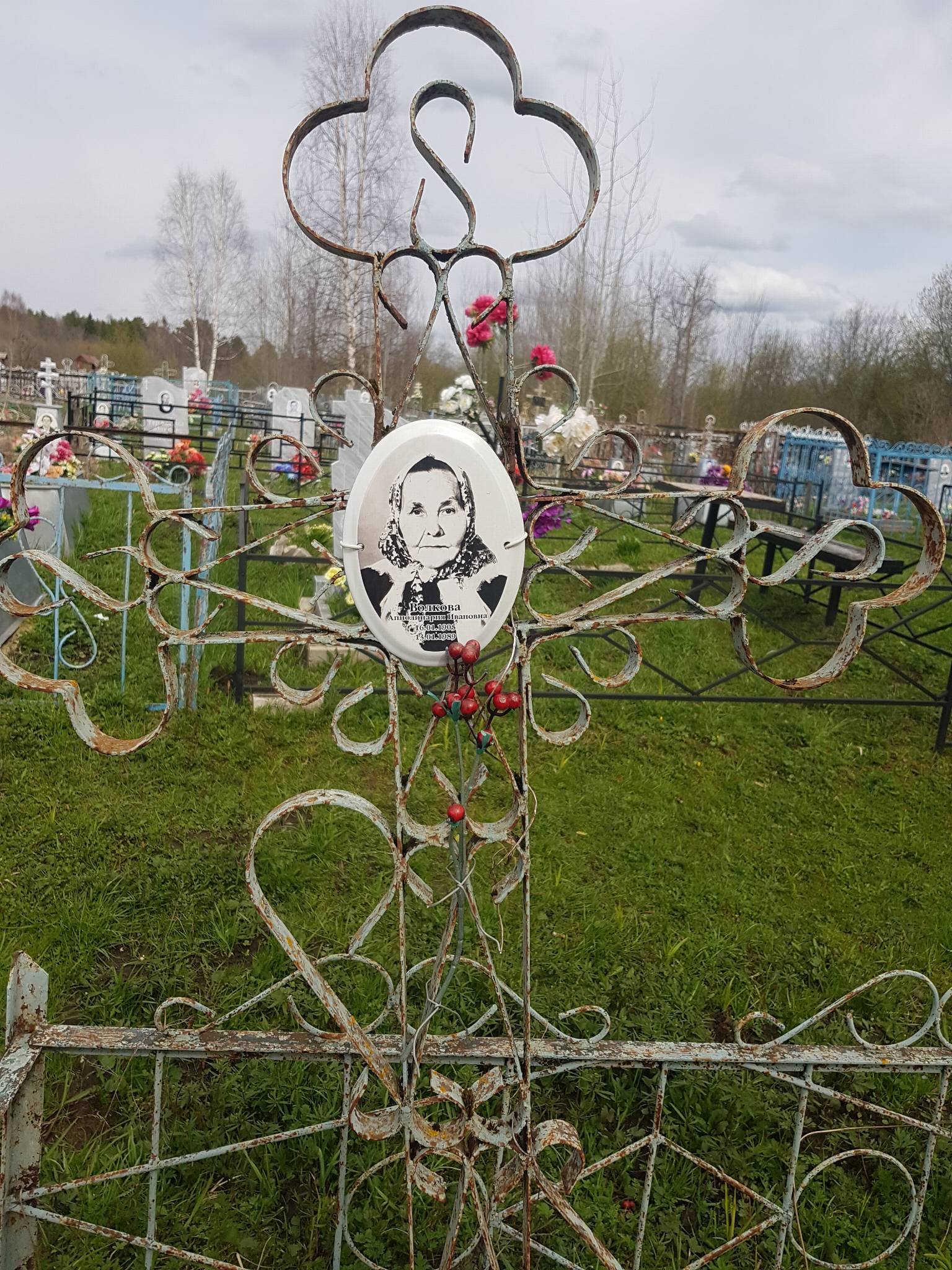 Волкова Апполинария Ивановна
