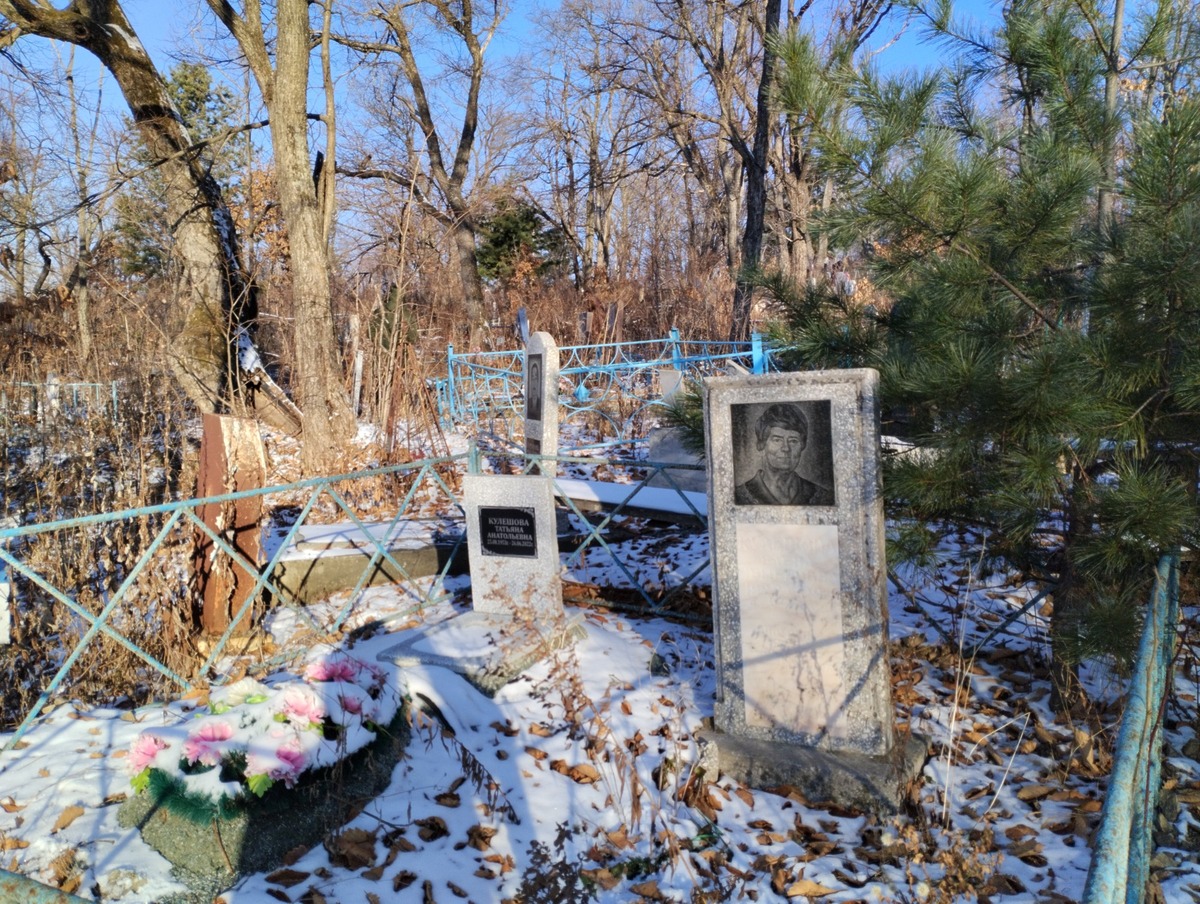 Кулешова Татаьяна Анатольевна