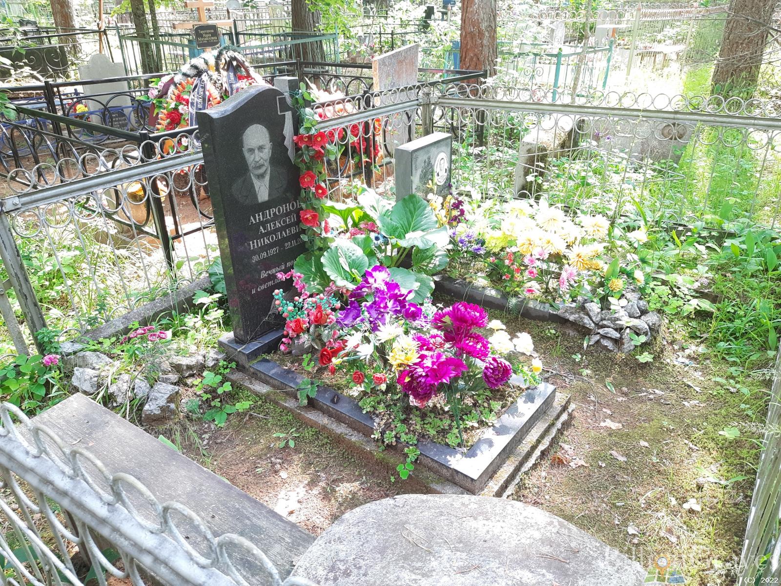 Андронов Алексей Николаевич