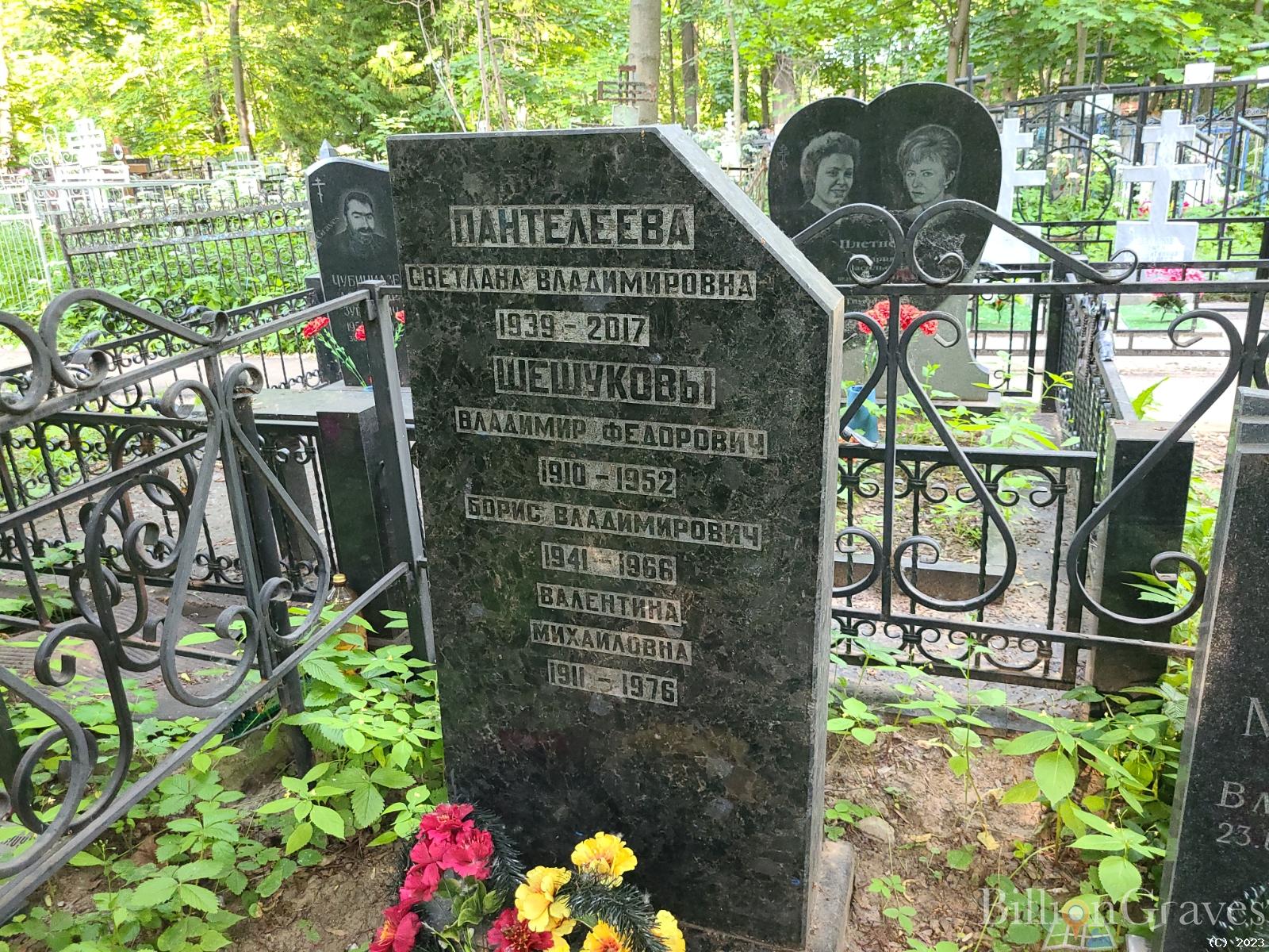Мостолюк Ирина Владимировна