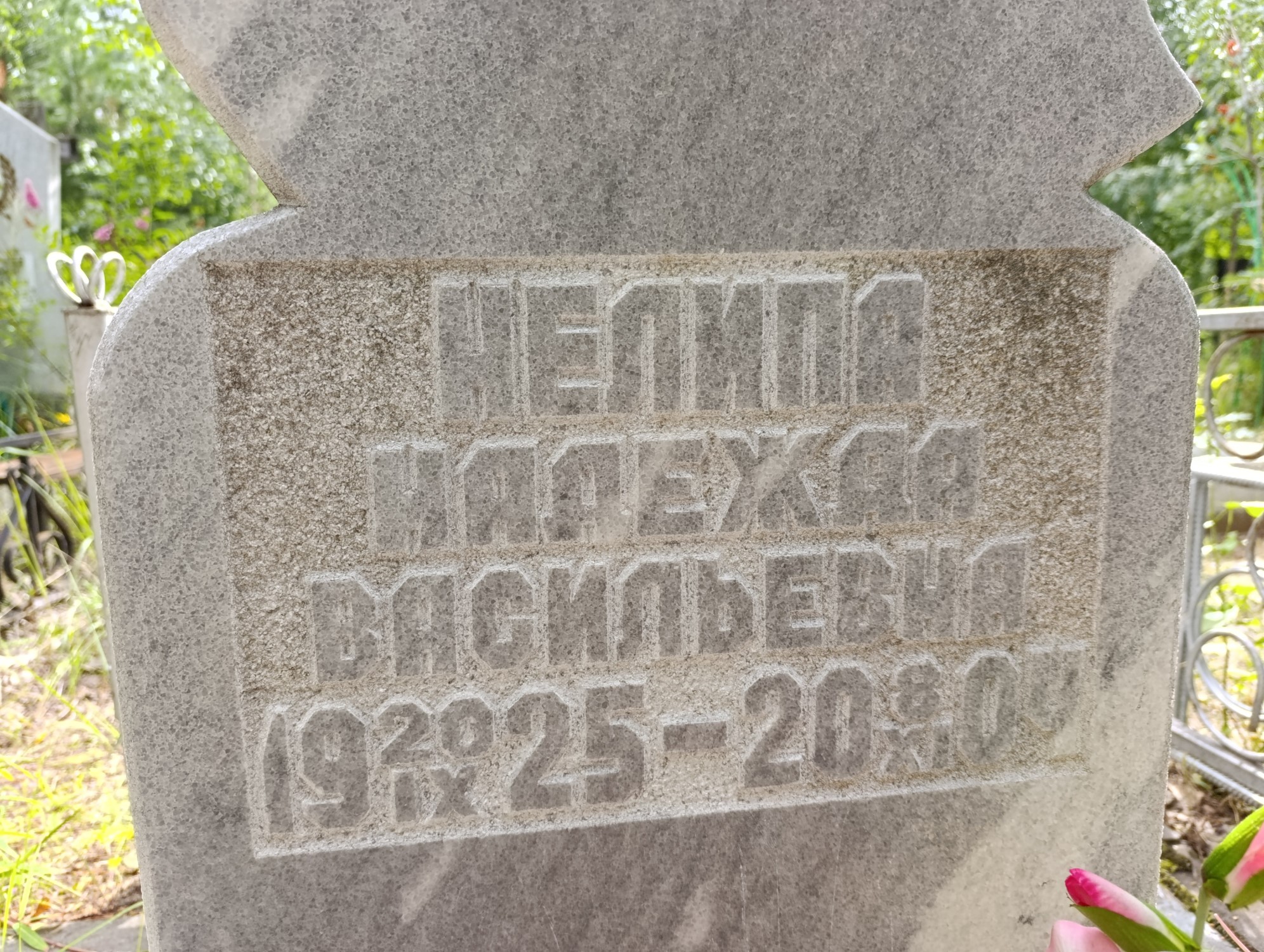 Нелипа Надежда Васильевна
