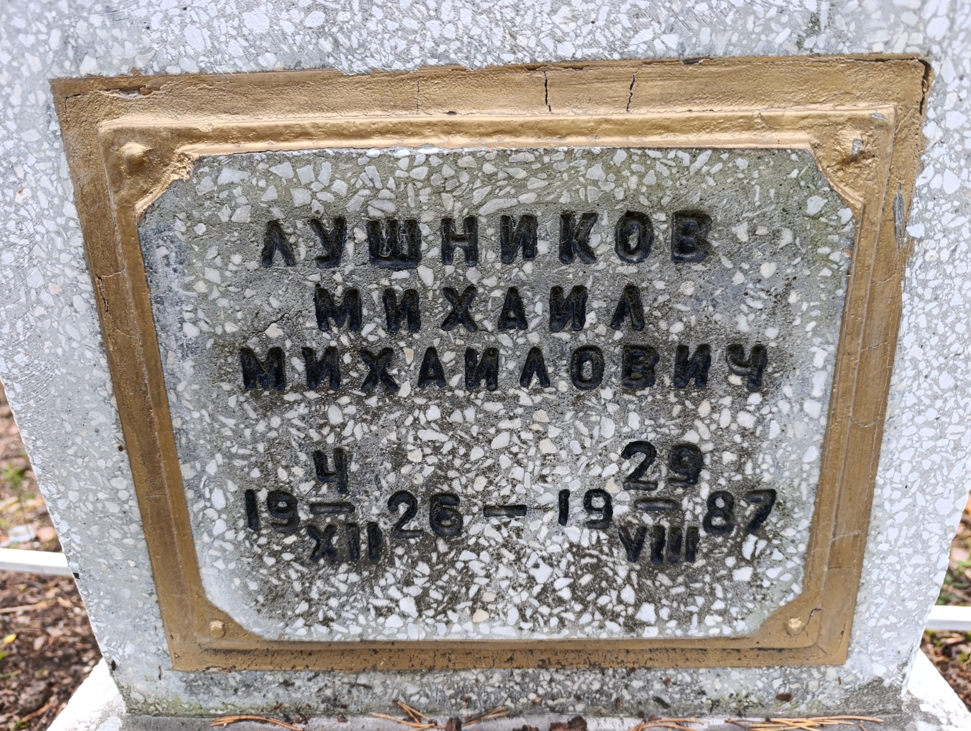 Лушников Михаил Михайлович