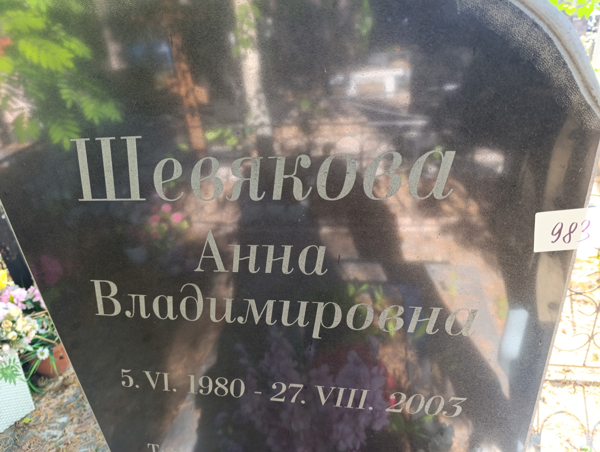 Шевякова Анна Владимировна