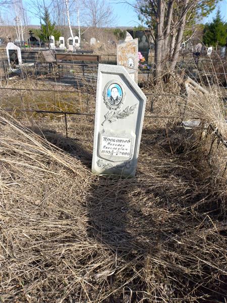 Прокопьев Николай Николаевич