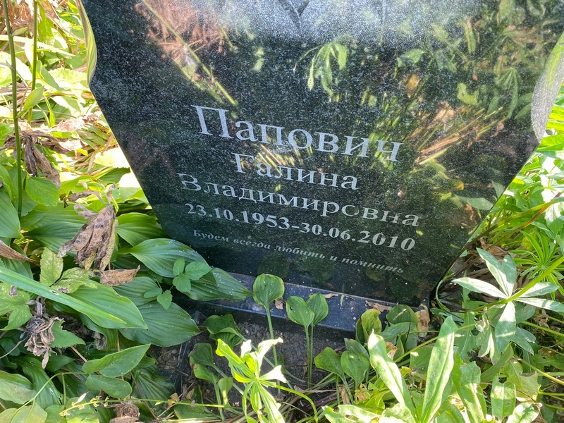 Папович