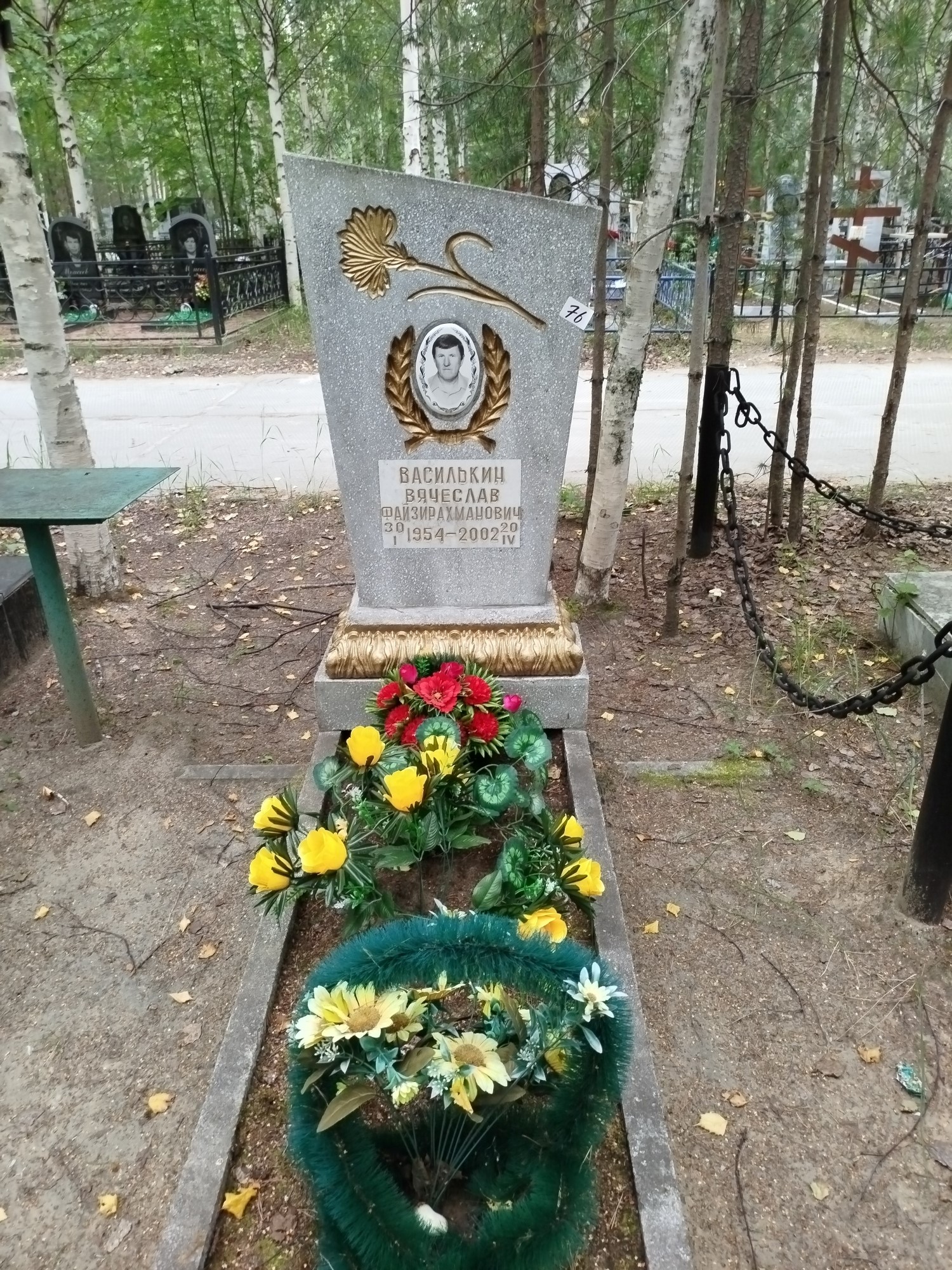 Василькин Вячеслав Файзирахманович