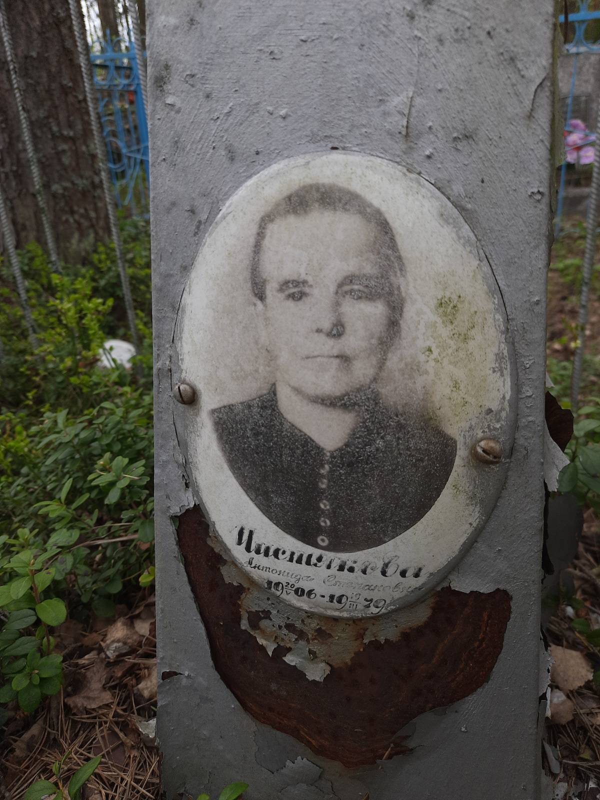 Чистякова Антонида Степановна