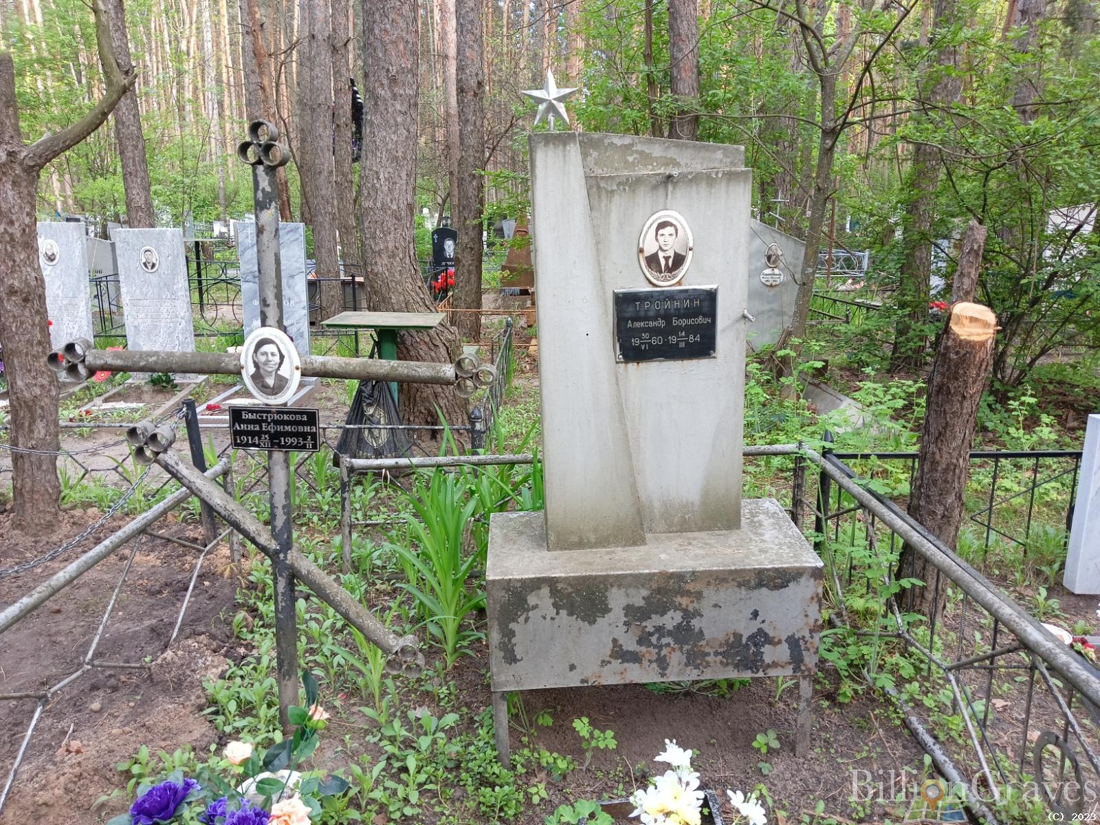 Тройнин Александр Борисович