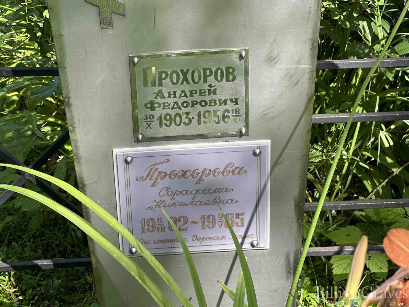 Прохорова Серафима Николаевна