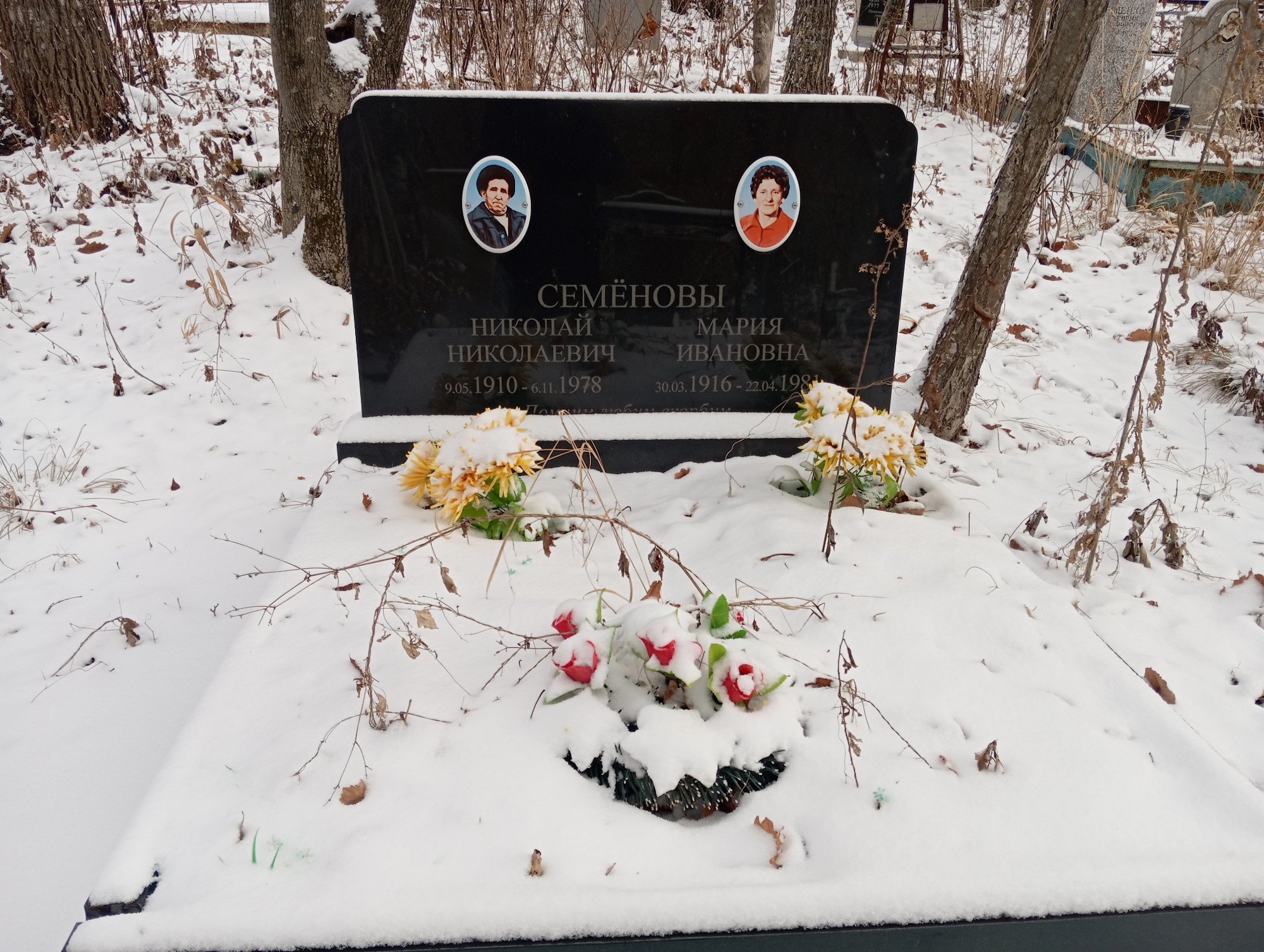 Семенов Николай Николаевич