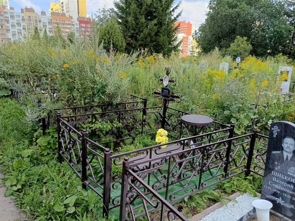 Рабежа Екатерина Дмитриевна