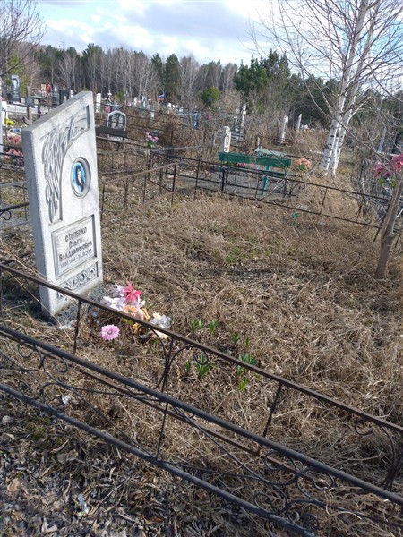 Степенко Ольга Владимировна