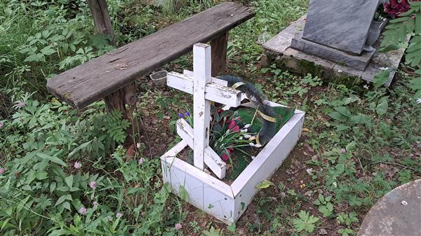 Довгаль Валерия