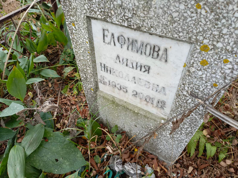 Елфимова