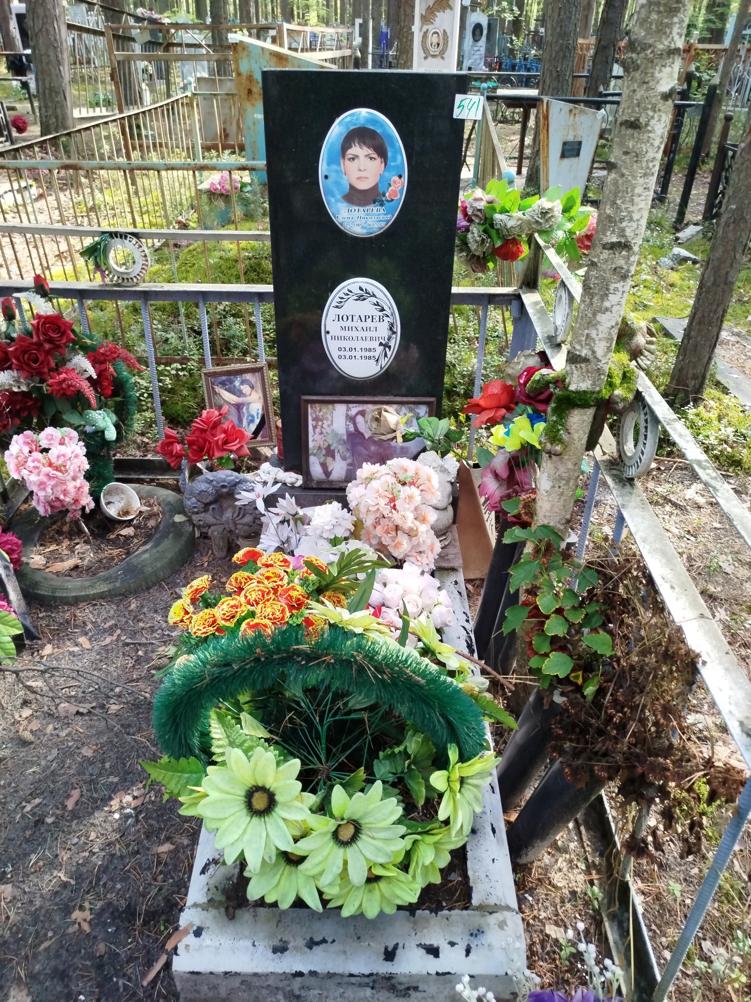 Лотарева Елена Николаевна