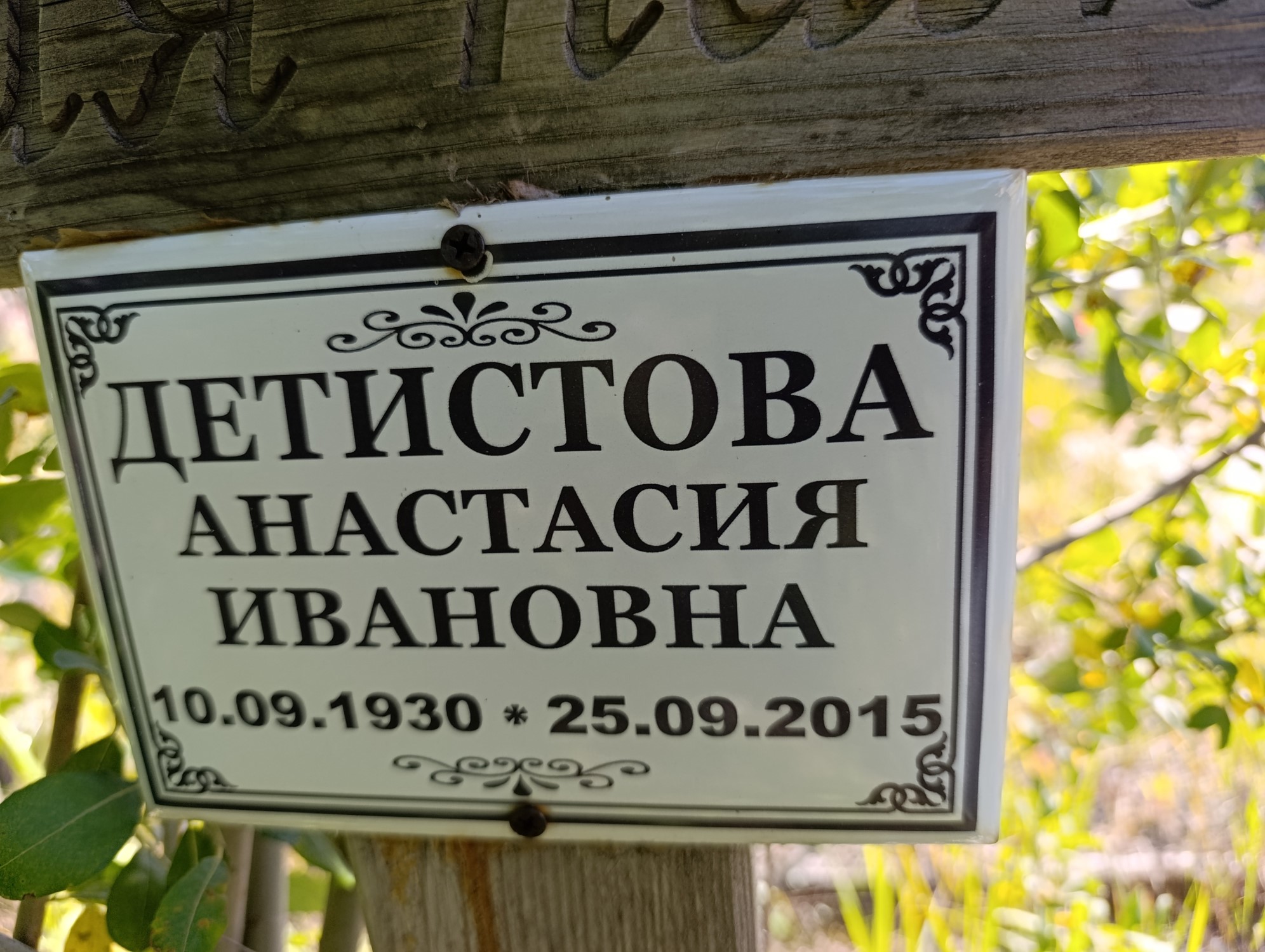 Детистова Анастасия Ивановна