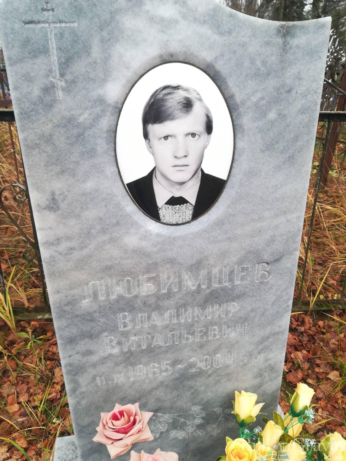Любимцев Владимир Витальевич