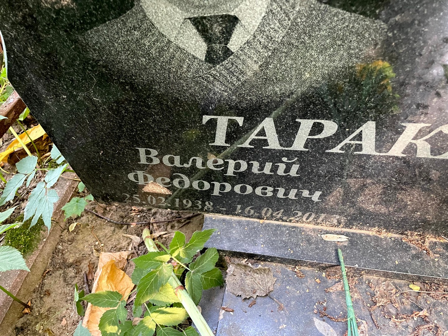 Тараканов