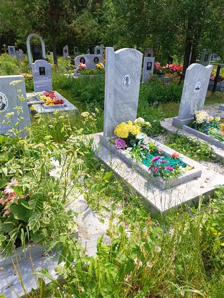 Давыдовская Екатерина Николаевна
