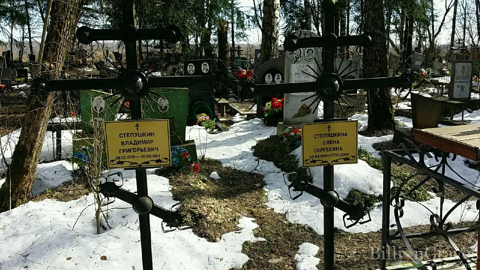Степушкина Елена
