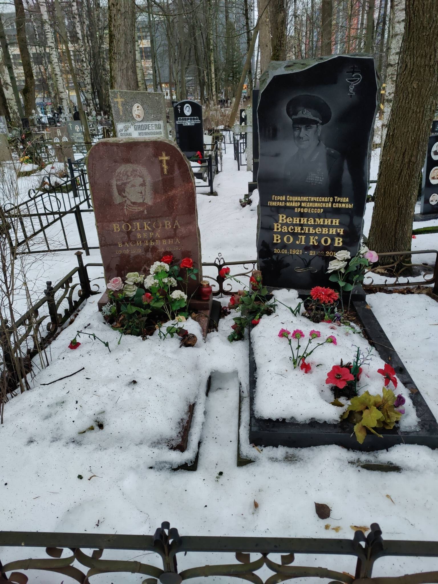 Волков Венамин Васильевич