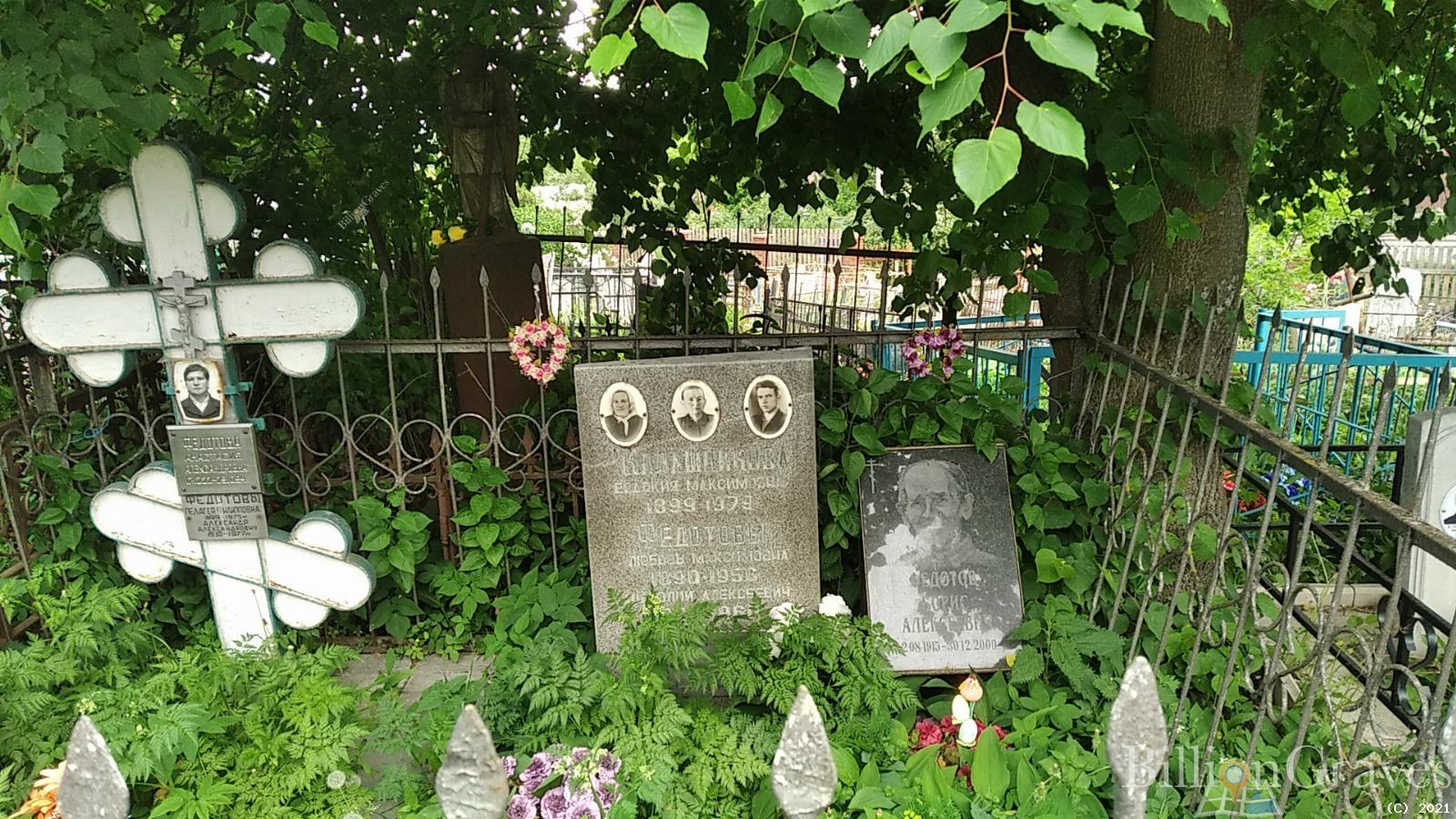 Федотова Анастасия Александровна
