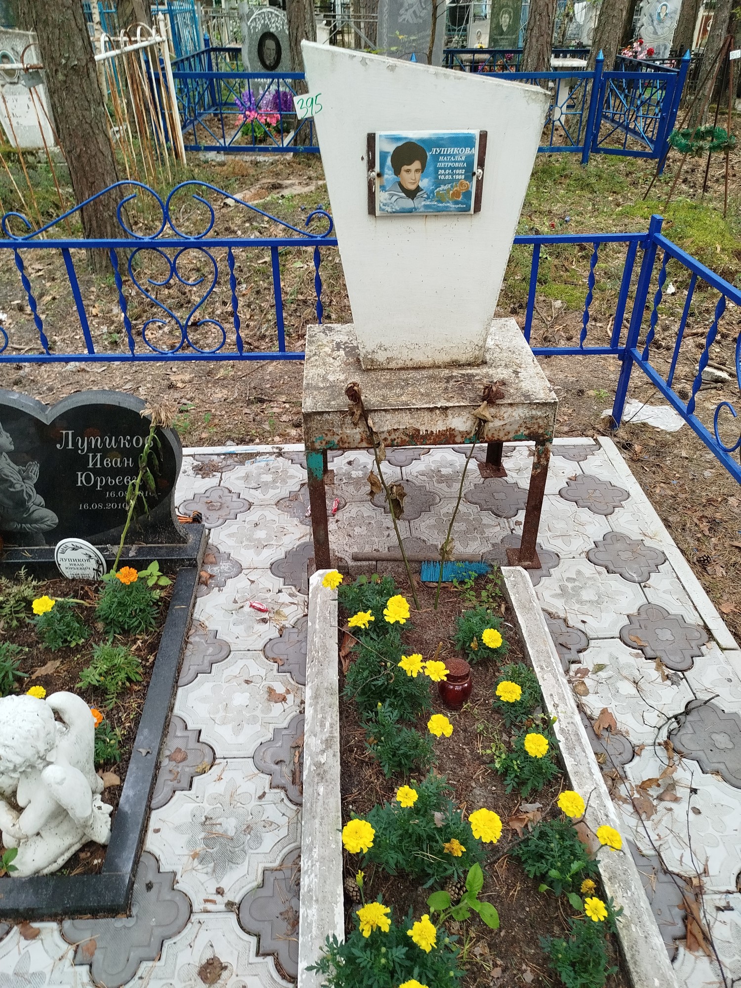 Лупикова Наталья Петровна
