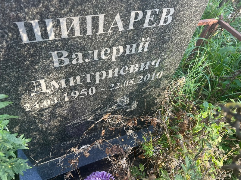 Шипарев
