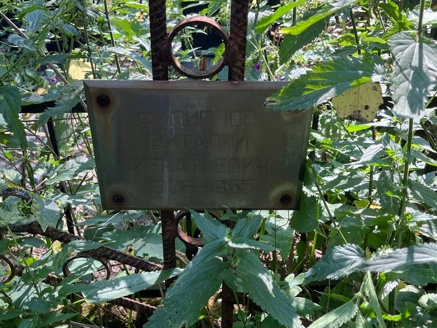 Филиппов