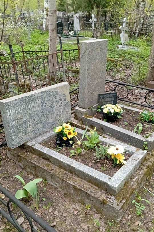 Миронович Сарра Давидовна